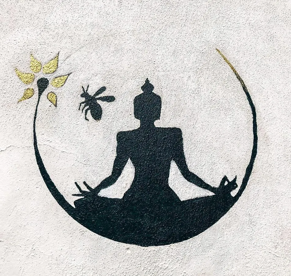 Buddha Bee - 18 To 35 Years Old Only لاغوس البرتغال